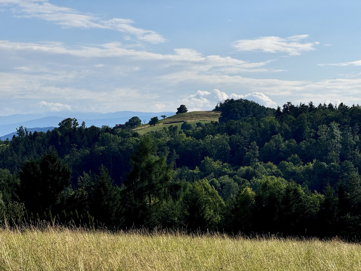 Sommerfrische